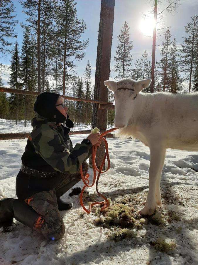 Reindeer Lake Resort Lampsijärvi Exteriér fotografie