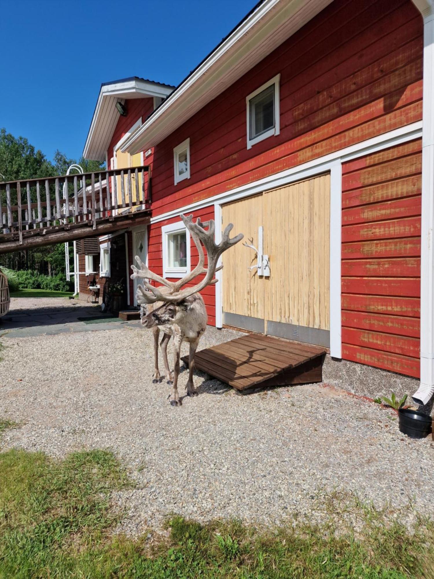 Reindeer Lake Resort Lampsijärvi Exteriér fotografie