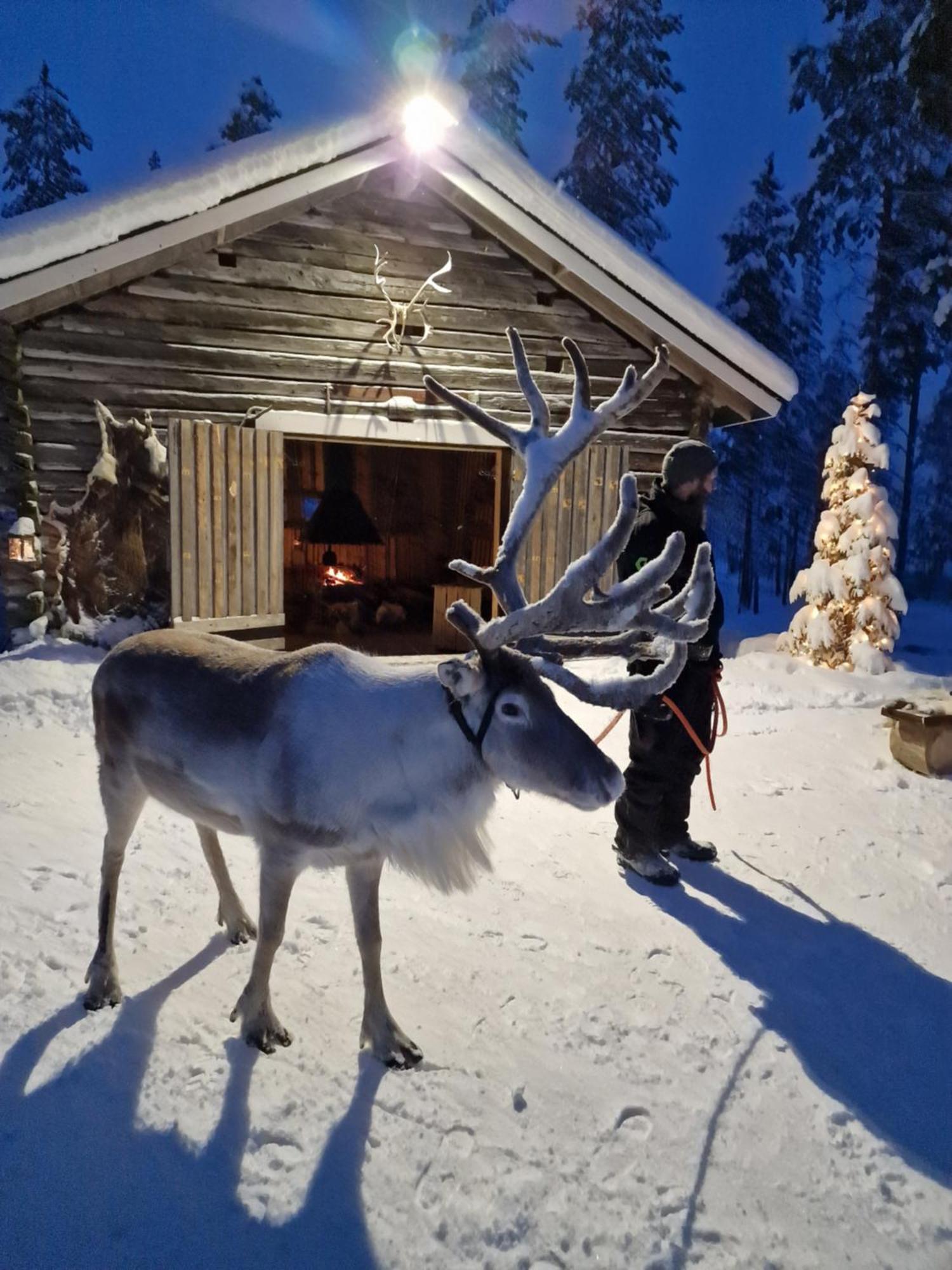 Reindeer Lake Resort Lampsijärvi Exteriér fotografie